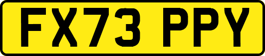 FX73PPY