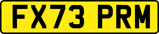 FX73PRM