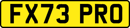 FX73PRO