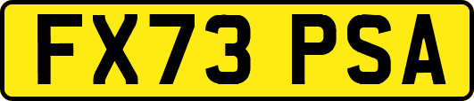 FX73PSA