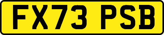 FX73PSB
