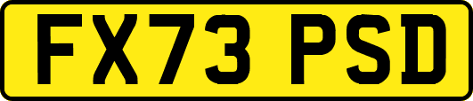 FX73PSD
