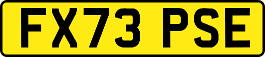 FX73PSE