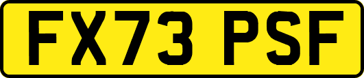 FX73PSF