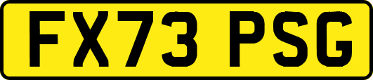 FX73PSG