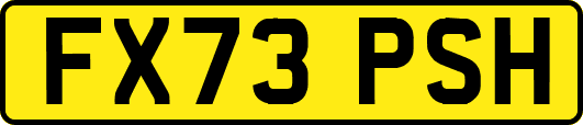 FX73PSH