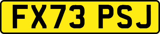 FX73PSJ