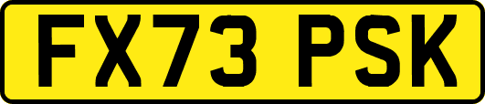 FX73PSK