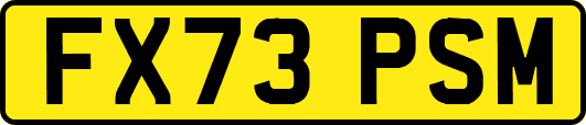 FX73PSM