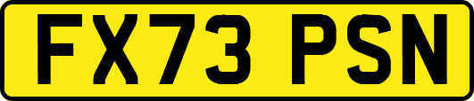 FX73PSN