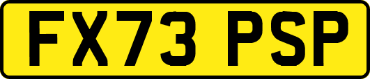 FX73PSP