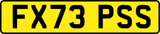 FX73PSS