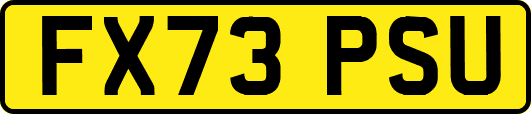 FX73PSU