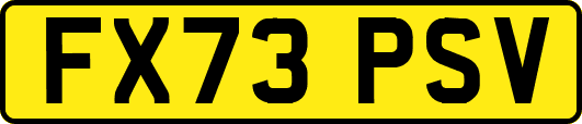 FX73PSV