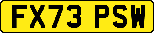 FX73PSW