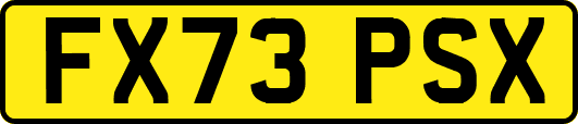 FX73PSX