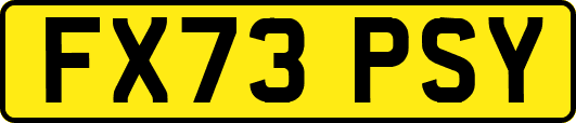 FX73PSY