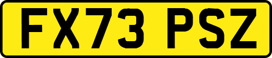 FX73PSZ