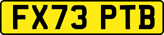FX73PTB