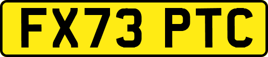 FX73PTC