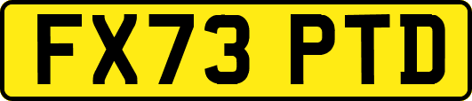 FX73PTD