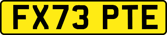 FX73PTE