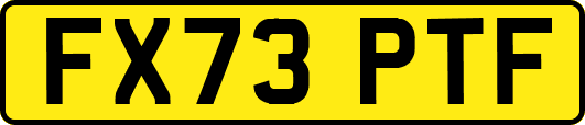 FX73PTF