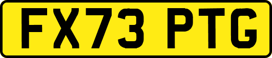 FX73PTG