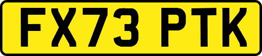 FX73PTK