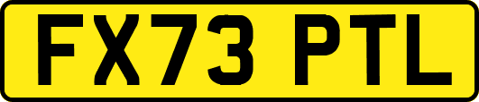 FX73PTL