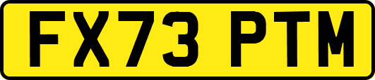 FX73PTM