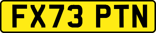 FX73PTN