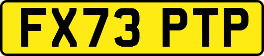 FX73PTP