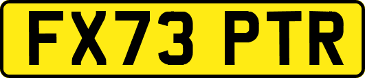 FX73PTR
