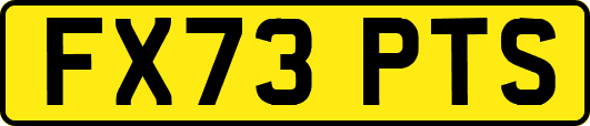 FX73PTS
