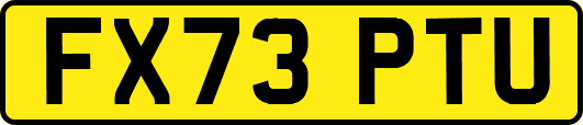 FX73PTU