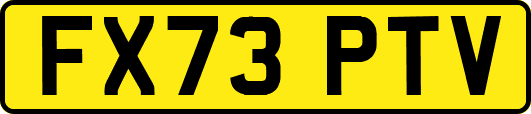 FX73PTV