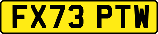 FX73PTW