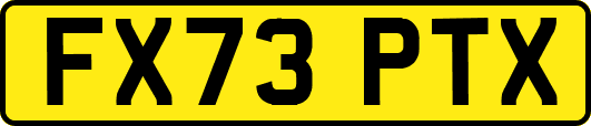 FX73PTX
