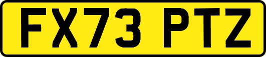 FX73PTZ