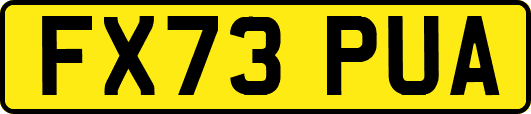 FX73PUA