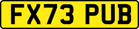 FX73PUB