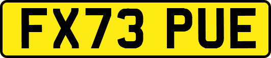 FX73PUE