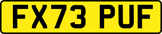 FX73PUF