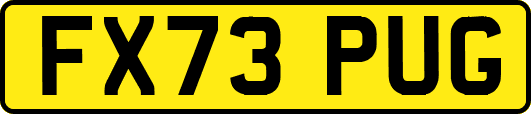 FX73PUG