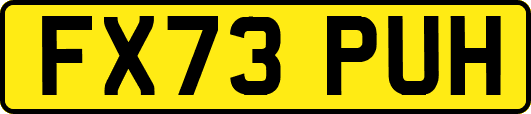 FX73PUH