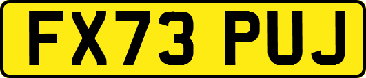 FX73PUJ