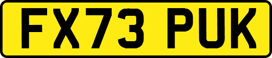 FX73PUK
