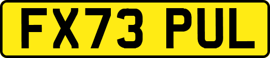 FX73PUL