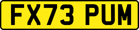 FX73PUM